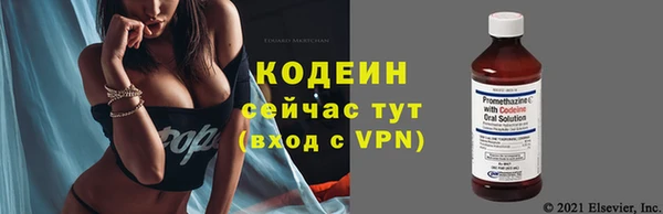 прущие грибы Беломорск
