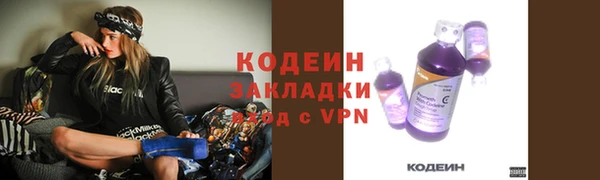 прущие грибы Беломорск