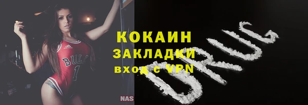 прущие грибы Беломорск