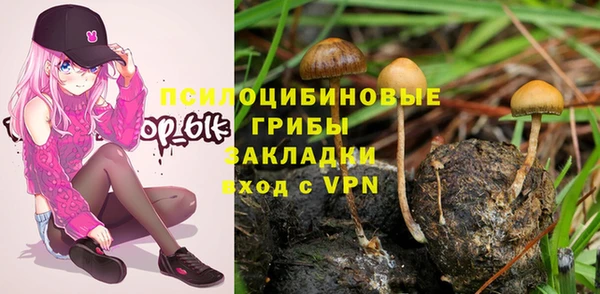 эйфоретик Богородск