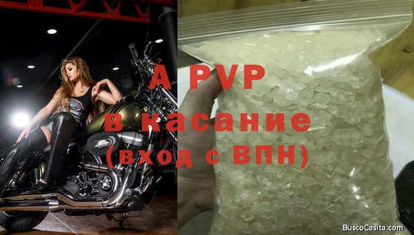амф Белокуриха