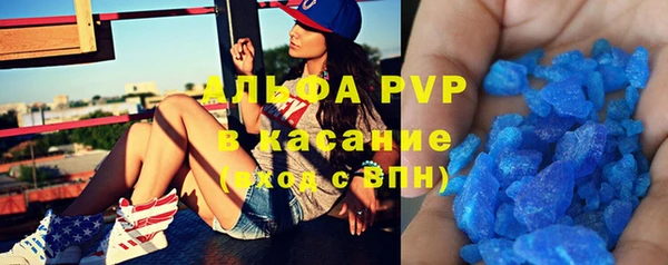 гашик Богданович