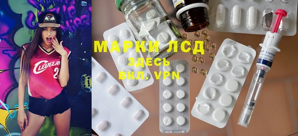 прущие грибы Беломорск