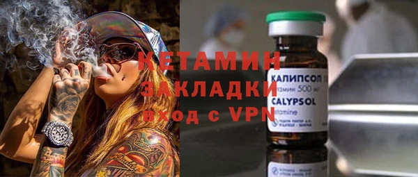 прущие грибы Беломорск