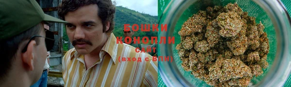 гашик Балахна