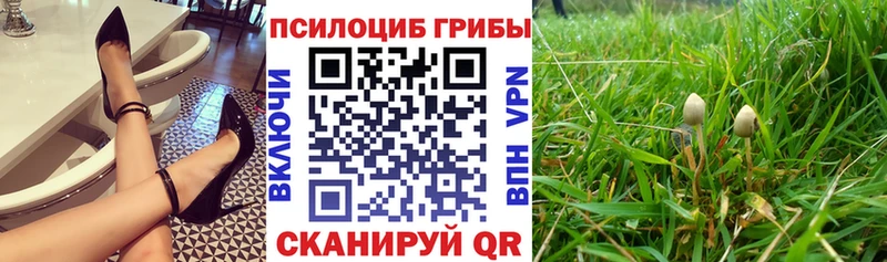 Галлюциногенные грибы мухоморы  Невель 